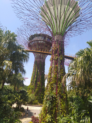 Megatrees in Singapur